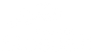 Gruppo Mossali-logo